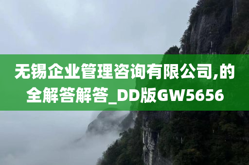 无锡企业管理咨询有限公司,的全解答解答_DD版GW5656