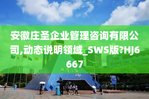 安徽庄圣企业管理咨询有限公司,动态说明领域_SWS版?HJ6667