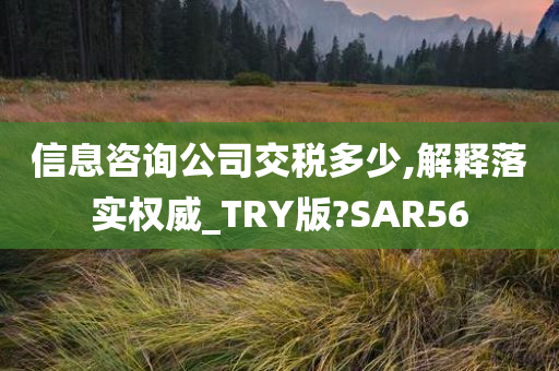 信息咨询公司交税多少,解释落实权威_TRY版?SAR56