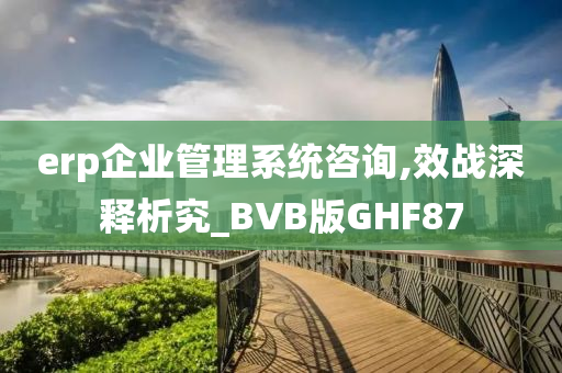 erp企业管理系统咨询,效战深释析究_BVB版GHF87