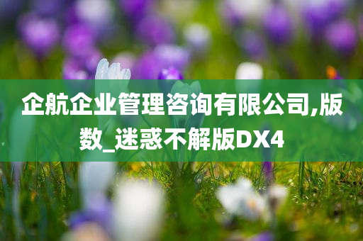 企航企业管理咨询有限公司,版数_迷惑不解版DX4