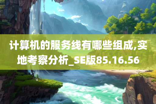 计算机的服务线有哪些组成,实地考察分析_SE版85.16.56