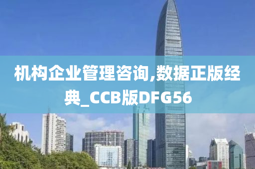 机构企业管理咨询,数据正版经典_CCB版DFG56