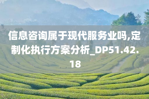 信息咨询属于现代服务业吗,定制化执行方案分析_DP51.42.18