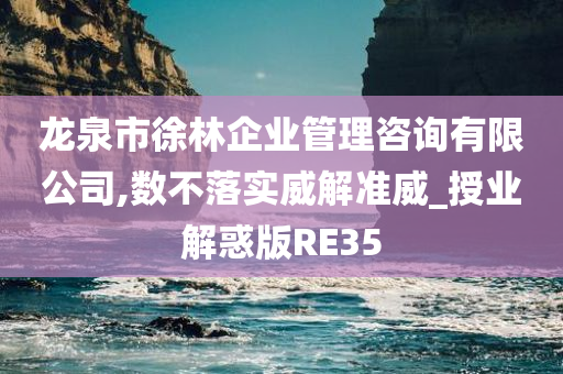 龙泉市徐林企业管理咨询有限公司,数不落实威解准威_授业解惑版RE35