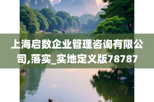 上海启数企业管理咨询有限公司,落实_实地定义版78787