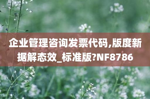 企业管理咨询发票代码,版度新据解态效_标准版?NF8786