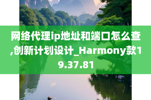 网络代理ip地址和端口怎么查,创新计划设计_Harmony款19.37.81