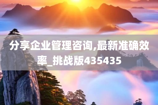 分享企业管理咨询,最新准确效率_挑战版435435