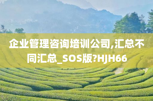 企业管理咨询培训公司,汇总不同汇总_SOS版?HJH66