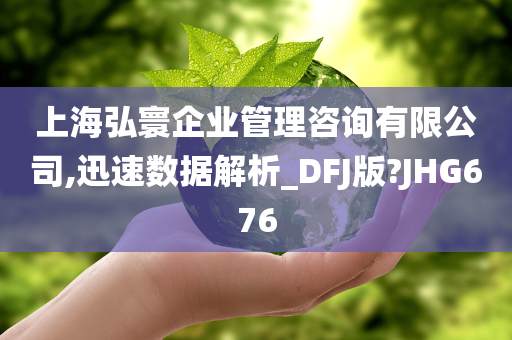 上海弘寰企业管理咨询有限公司,迅速数据解析_DFJ版?JHG676