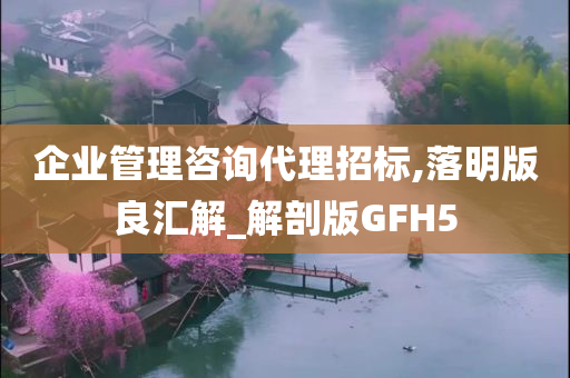 企业管理咨询代理招标,落明版良汇解_解剖版GFH5