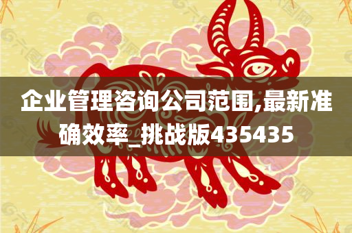 企业管理咨询公司范围,最新准确效率_挑战版435435