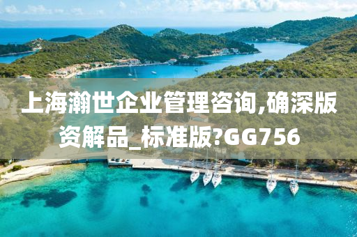 上海瀚世企业管理咨询,确深版资解品_标准版?GG756