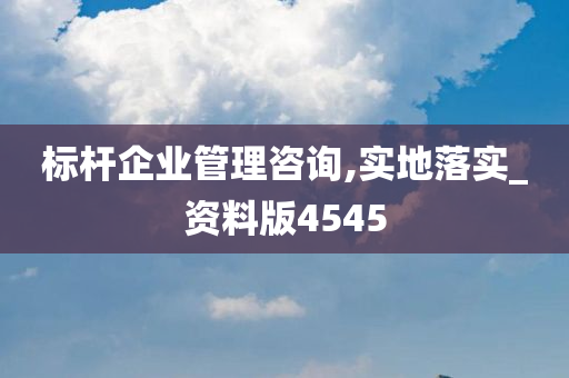 标杆企业管理咨询,实地落实_资料版4545