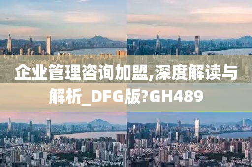 企业管理咨询加盟,深度解读与解析_DFG版?GH489