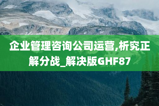 企业管理咨询公司运营,析究正解分战_解决版GHF87