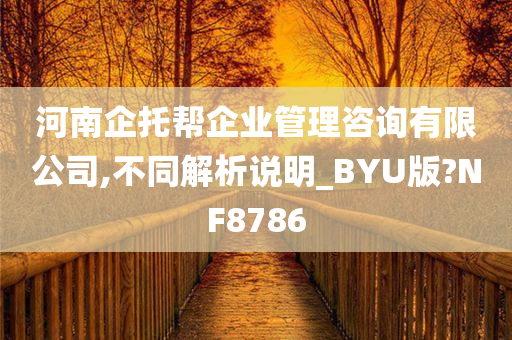 河南企托帮企业管理咨询有限公司,不同解析说明_BYU版?NF8786