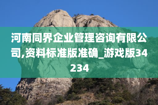 河南同界企业管理咨询有限公司,资料标准版准确_游戏版34234