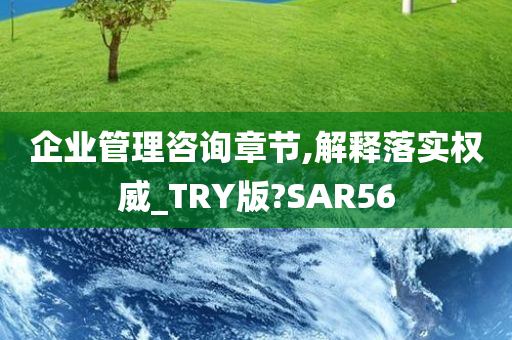 企业管理咨询章节,解释落实权威_TRY版?SAR56