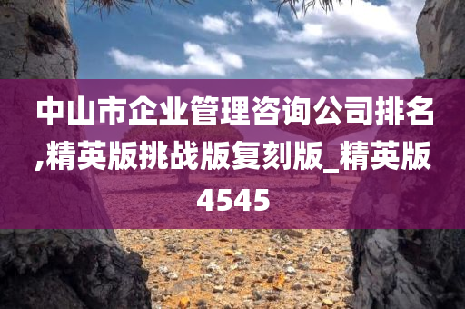 中山市企业管理咨询公司排名,精英版挑战版复刻版_精英版4545