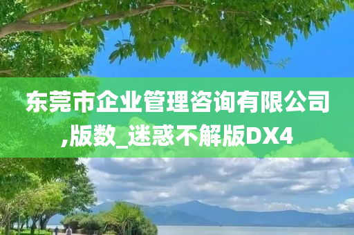 东莞市企业管理咨询有限公司,版数_迷惑不解版DX4