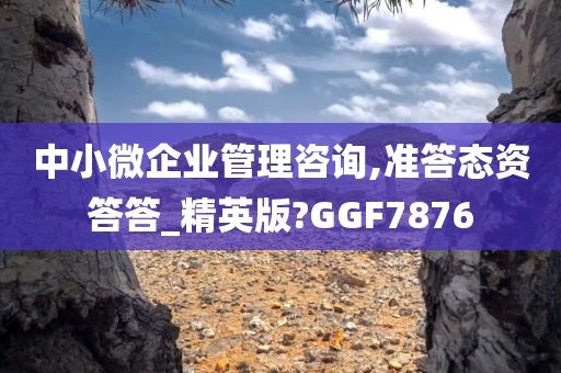 中小微企业管理咨询,准答态资答答_精英版?GGF7876