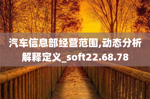 汽车信息部经营范围,动态分析解释定义_soft22.68.78