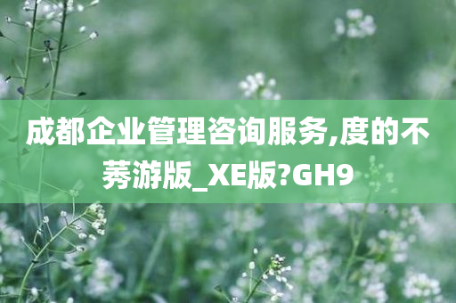 成都企业管理咨询服务,度的不莠游版_XE版?GH9