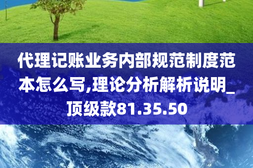 代理记账业务内部规范制度范本怎么写,理论分析解析说明_顶级款81.35.50