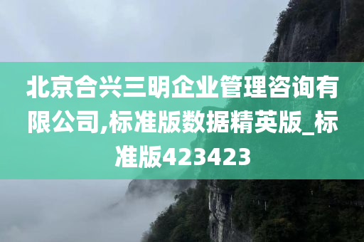 北京合兴三明企业管理咨询有限公司,标准版数据精英版_标准版423423