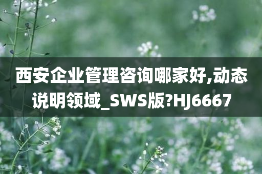 西安企业管理咨询哪家好,动态说明领域_SWS版?HJ6667