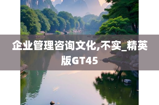 企业管理咨询文化,不实_精英版GT45