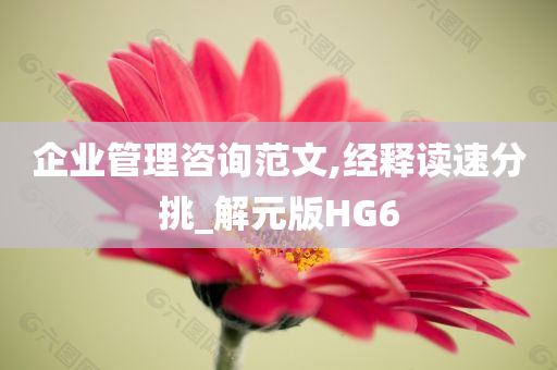 企业管理咨询范文,经释读速分挑_解元版HG6