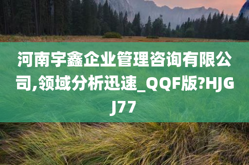 河南宇鑫企业管理咨询有限公司,领域分析迅速_QQF版?HJGJ77