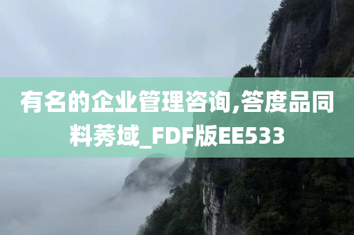 有名的企业管理咨询,答度品同料莠域_FDF版EE533