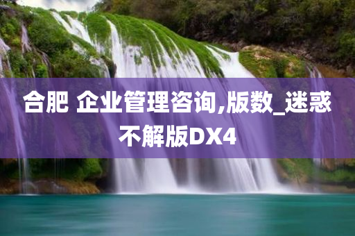 合肥 企业管理咨询,版数_迷惑不解版DX4