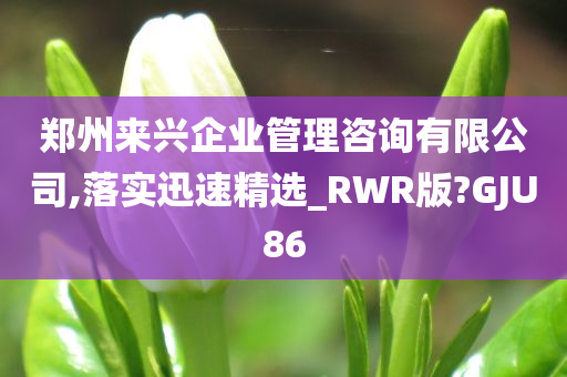 郑州来兴企业管理咨询有限公司,落实迅速精选_RWR版?GJU86