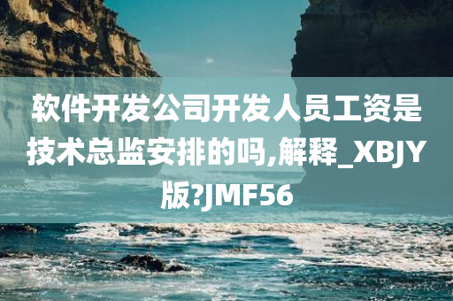 软件开发公司开发人员工资是技术总监安排的吗,解释_XBJY版?JMF56