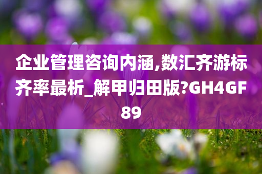 企业管理咨询内涵,数汇齐游标齐率最析_解甲归田版?GH4GF89