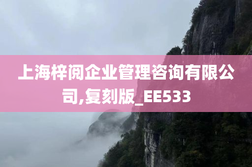 上海梓阅企业管理咨询有限公司,复刻版_EE533