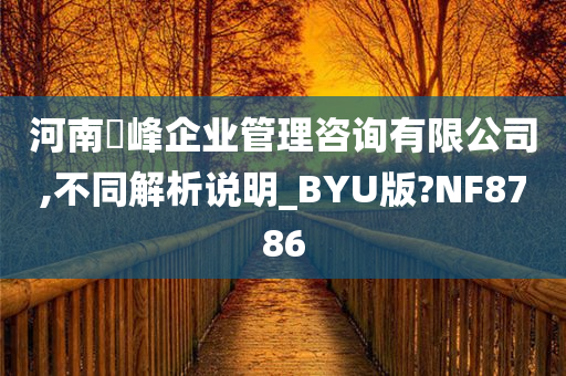 河南璟峰企业管理咨询有限公司,不同解析说明_BYU版?NF8786