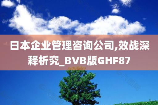 日本企业管理咨询公司,效战深释析究_BVB版GHF87