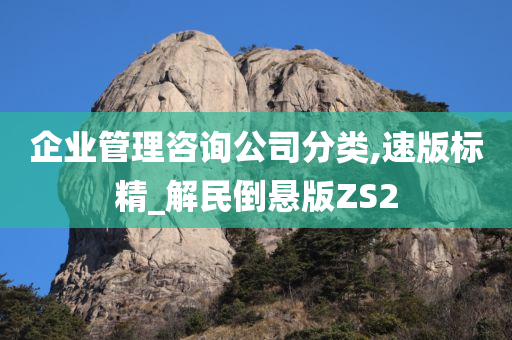 企业管理咨询公司分类,速版标精_解民倒悬版ZS2