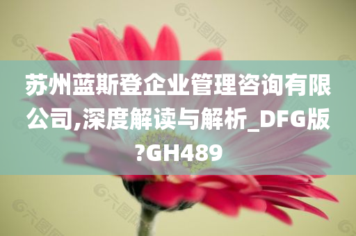 苏州蓝斯登企业管理咨询有限公司,深度解读与解析_DFG版?GH489