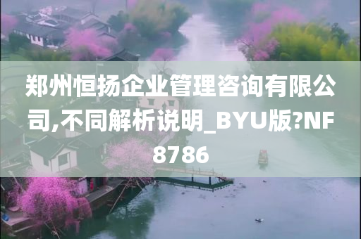 郑州恒扬企业管理咨询有限公司,不同解析说明_BYU版?NF8786