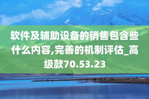 软件及辅助设备的销售包含些什么内容,完善的机制评估_高级款70.53.23