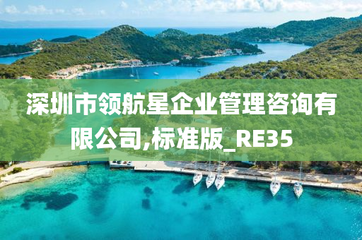 深圳市领航星企业管理咨询有限公司,标准版_RE35