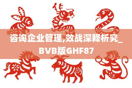 咨询企业管理,效战深释析究_BVB版GHF87