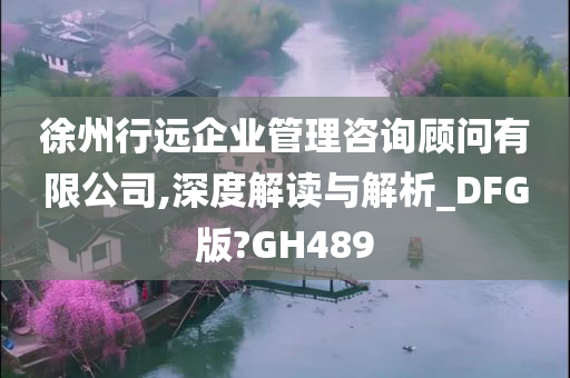 徐州行远企业管理咨询顾问有限公司,深度解读与解析_DFG版?GH489